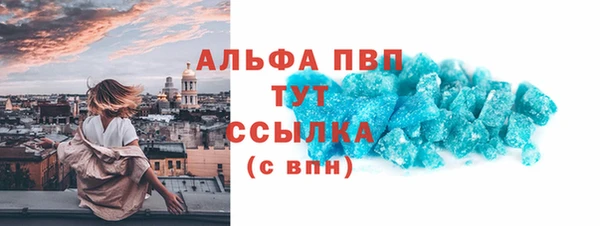 сатива Кукмор