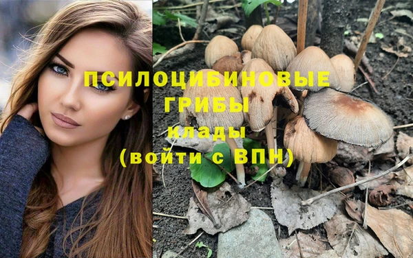 кокс Алексеевка