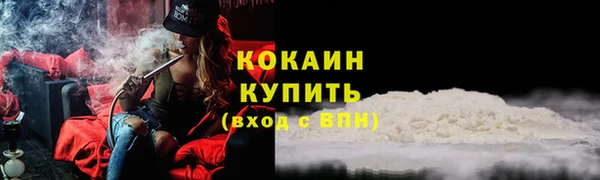 прущий лед Алзамай