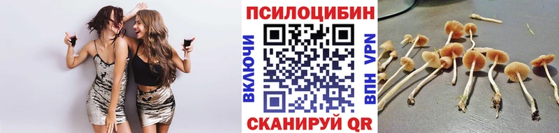 закладка  hydra онион  Псилоцибиновые грибы прущие грибы  Кадников 